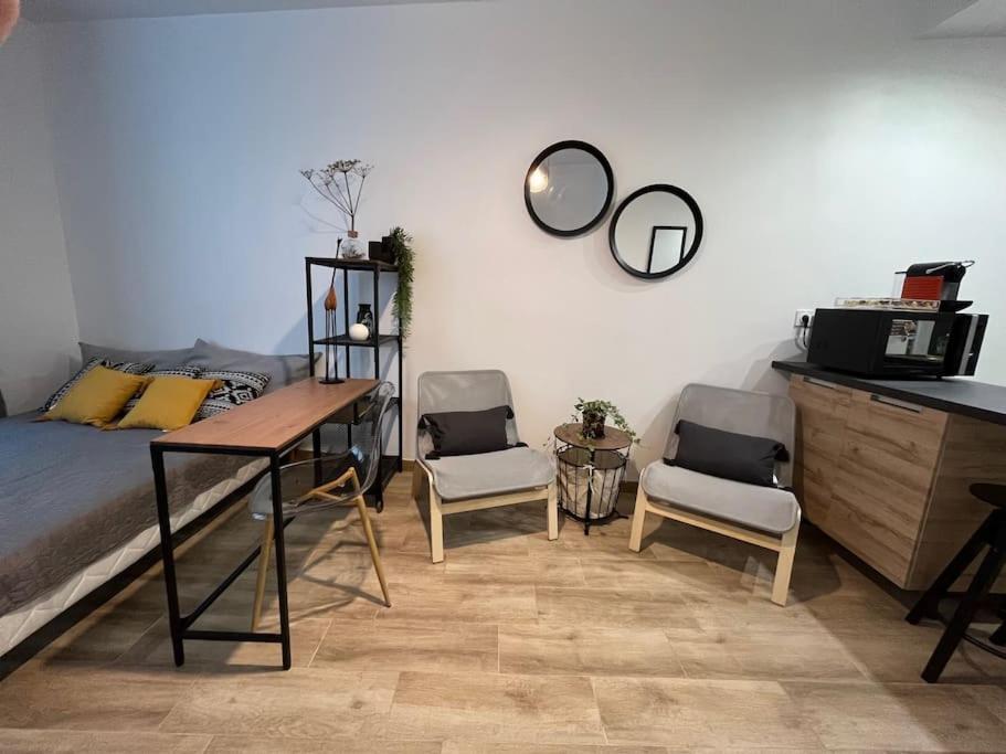 Studio Cosy Rez-De-Chaussee Foix Dış mekan fotoğraf